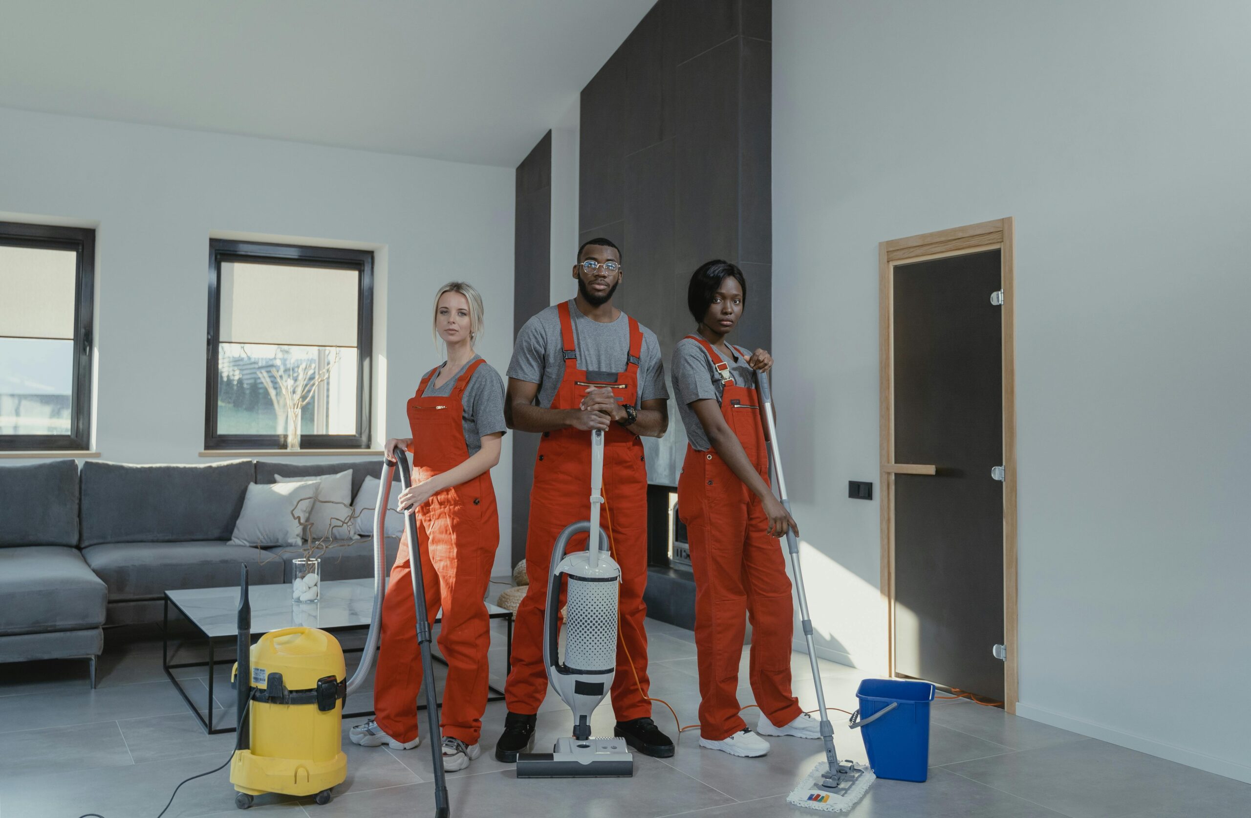 Professional Cleaning Service